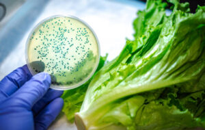 The Importance Of Testing For Food Contamination