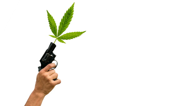 Is Gun Control Any Different When It Relates to Cannabis Use?
