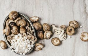 How Should Shrooms Be Consumed for Maximum Benefit?